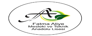 fatma-aliye